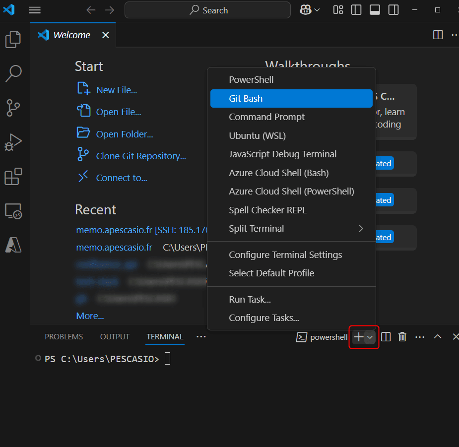 PC Local VSCode Git Bash